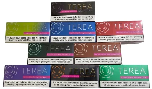 Flavors Available TEREA Indonesia in UAE