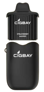 CIGBAY 26000 Premium Feature