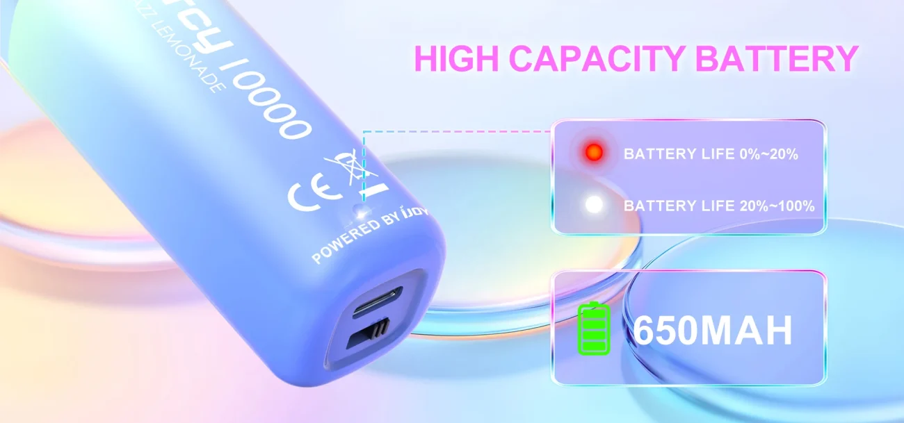 650mAh Rechargeable Battery