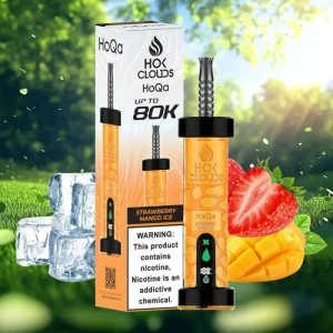 Hoqa 80000 Puffs smart disposable Vape