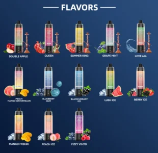 Flavors of VNSN Max 20000 Puffs 50mg Disposable Vape in Dubai