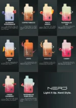 Flavors Page-2 Nerd Fire 10k Puffs