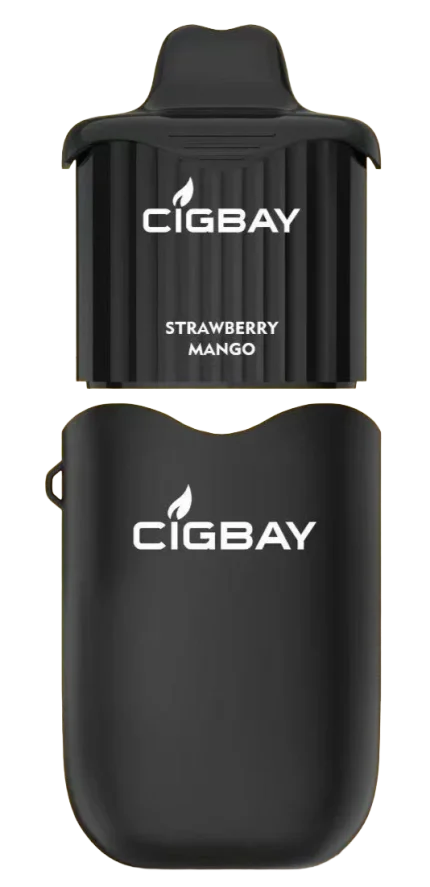 CIGBAY 26000 Premium Feature