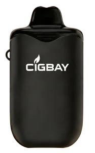 CIGBAY 26000 3D View
