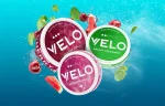 Flavor List for Velo Nicotine Pouch