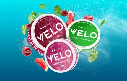 Flavor List for Velo Nicotine Pouch