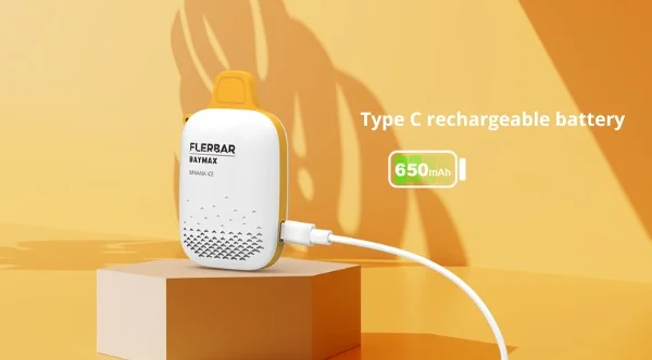 FLERBAR Zero Nicotine Type-C Fast Charging Port