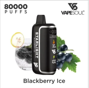 Vapesoul 80000 Puffs Package Contains