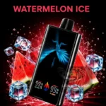 IGNITE V300 30000 Puffs Watermelon Ice